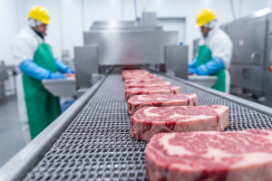 Coraz trudniej o fachowców. Przemysł odczuwa skutki