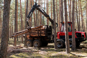 Surowca brakuje, zatrudnienie spada. Biją na alarm